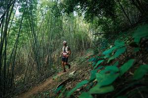 BIB: 
                            <button type="button" onclick="openModal(28141196)" class="btn btn-primary btn-sm float-right btn-popup" data-toggle="modal" data-target=".modal-high-quality">
                        <i class="fas fa-shopping-cart"></i> Add to Cart
                    </button>
                                            <button type="button" onclick="isThisMe(28141196, true)" class="btn btn-success btn-sm float-right btn-popup btn-isme hidden" data-toggle="tooltip" data-placement="bottom" title="นี่คือรูปของคุณใช่ไหม คลิกที่นี่เพื่อเอาเข้าอัลบั้ม">
                        <i class="fas fa-plus"></i> Add to album
                    </button>
                    <button type="button" onclick="isThisMe(28141196, false)" class="btn btn-warning btn-sm float-right btn-popup btn-isnotme hidden">
                        <i class="fas fa-ban"></i> Remove from album
                    </button>